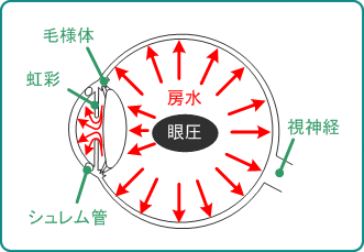 圧 が 高い 眼